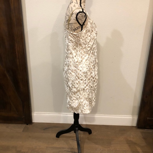 Antenello Serio Designer Ribbon Appliqué Dress - Picture 4 of 7